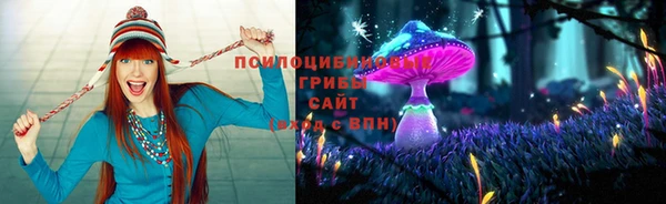 спайс Алексеевка