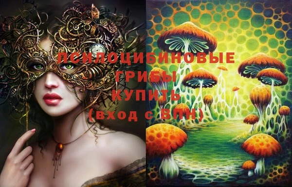 скорость Абаза