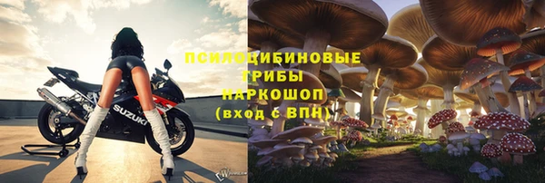 не бодяженный Алзамай