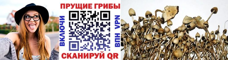наркота  Верхоянск  Псилоцибиновые грибы прущие грибы 